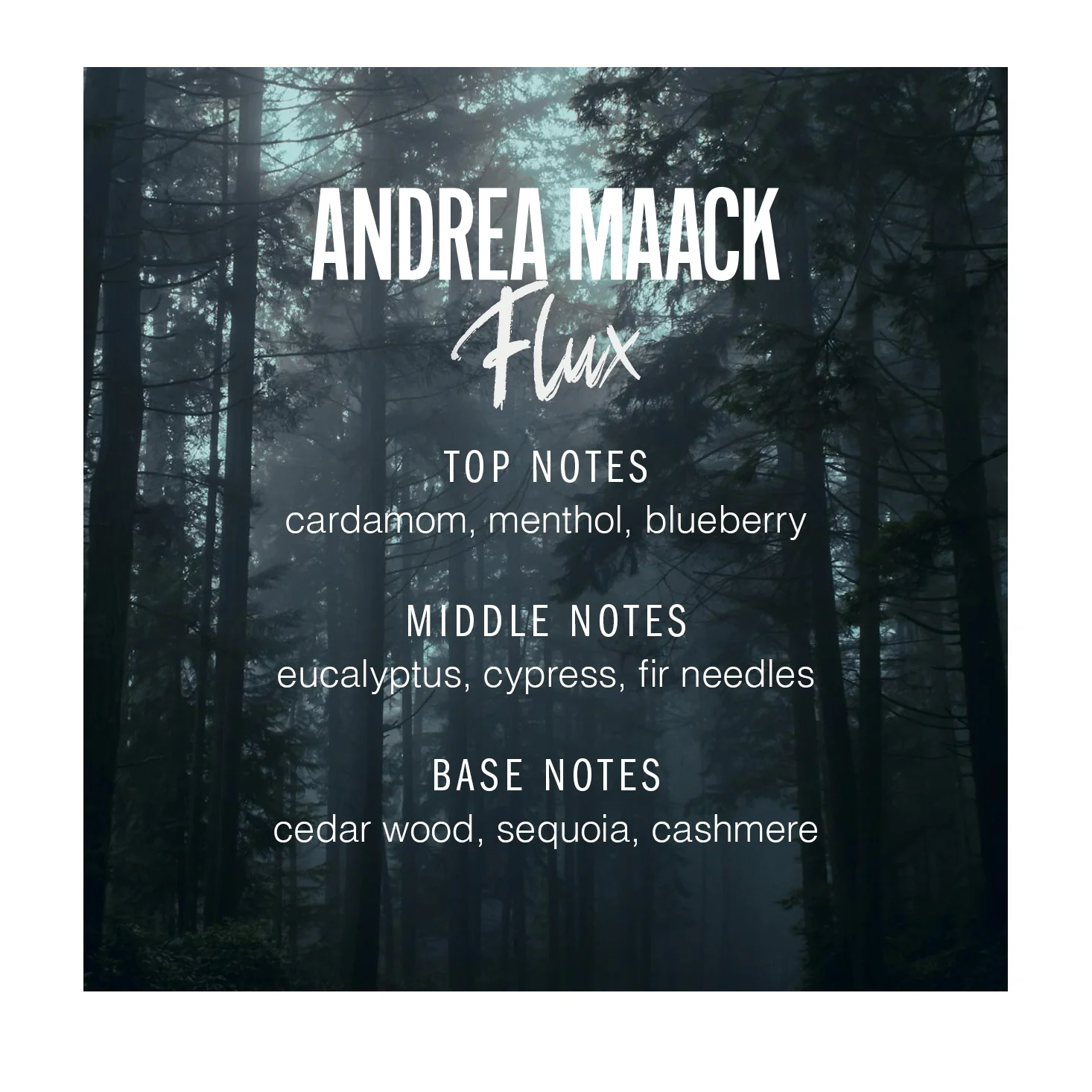 Sample Vial - Andrea Maack Flux Eau de Parfum